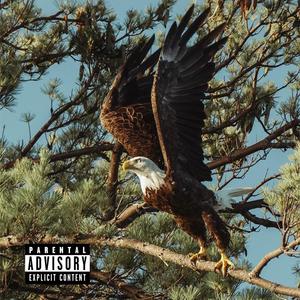 EAGLE/ROOM (Explicit)