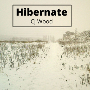 Hibernate