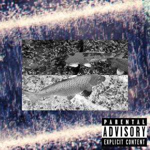 YDGAF(feat. prml & tskroppa) (Explicit)