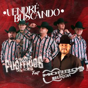 Vendré Buscando (feat. Morro Y Su Reunion)