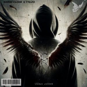 Volevo volare (feat. Falzo) (Explicit)