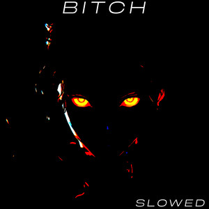 ***** (Slowed|Explicit)