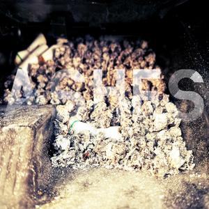 Longterm Trip (Explicit)