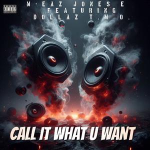 Call It What U Want (feat. Dollaz T.M.O) (Explicit)