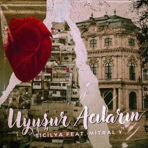 Uyuşur Acıların(feat. Mitral Y) (Explicit)