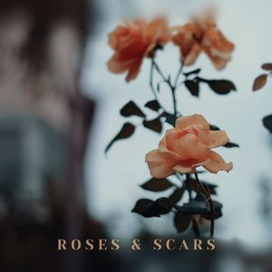 roses & scars