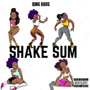 Shake Sum (Remix) [Explicit]