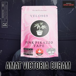 Amat Victoria Curam