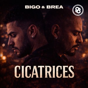 Cicatrices