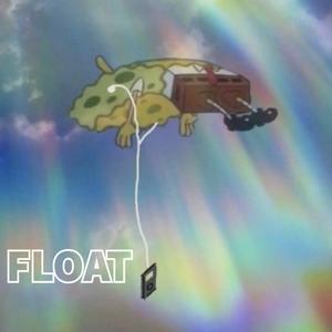 Float (Explicit)