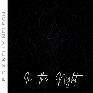 In the night (feat. Nelly Nelson)