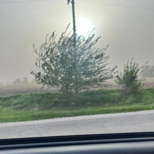 I Smell Good (Explicit)