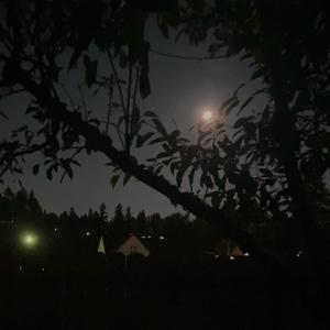 Only One (feat. Babylee) (Explicit)