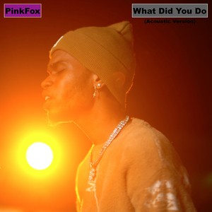 What Did You Do (Acoustic)