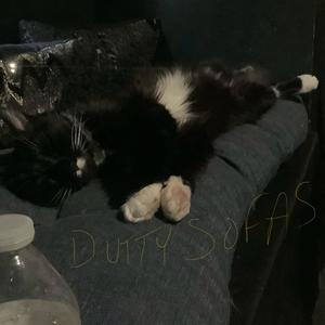 Dutty sofas (Radio Edit)