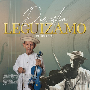 Virgen de Guadalupe (Punto Santeño)