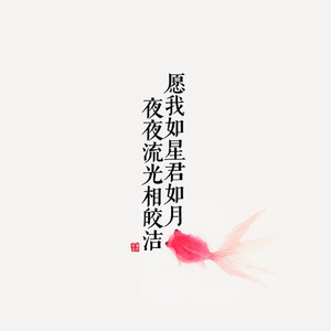年华 (Remix)