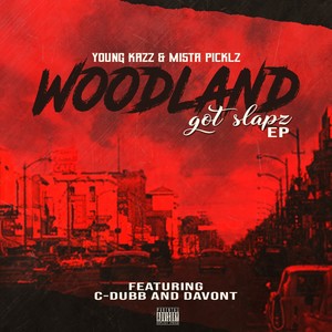 Woodland Got Slapz (Explicit)