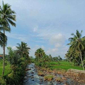 Jangan mencari cari kesalahan