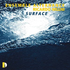 Ricardo Nillni: Surface