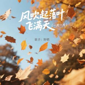 风吹起落叶飞满天 (一片一片)