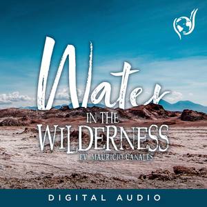 Water In The Wilderness ((LIVE))