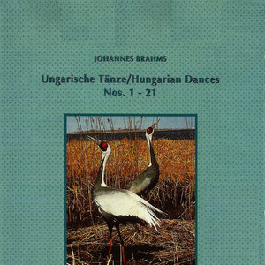21 Hungarian Dances - No. 5 in F-Sharp Minor, WoO. 1 - I. Allegro (21号匈牙利舞曲 - 升F小调第5号，作品1 - 第一乐章 快板)