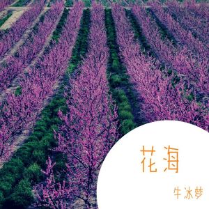 牛梦冰 - 超强 BGM (DJ版)