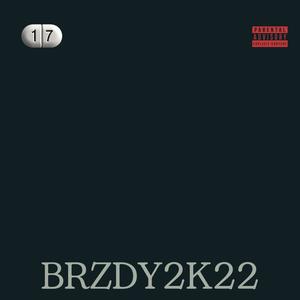 Brzdy2k22 (feat. Emzet) [Explicit]