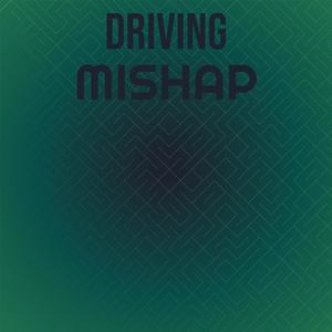 Driving Mishap