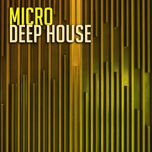 Micro Deep House