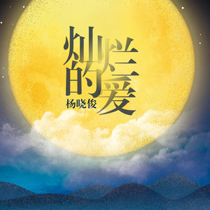 灿烂的爱封面