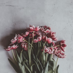 承诺（feat.Chess Nerd) (prod by Lv9)