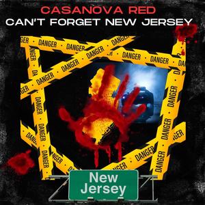 Cant Forget New Jersey