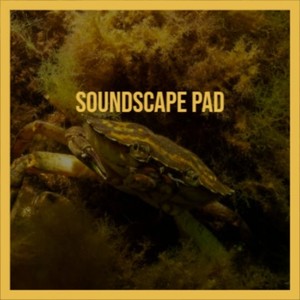 Soundscape Pad