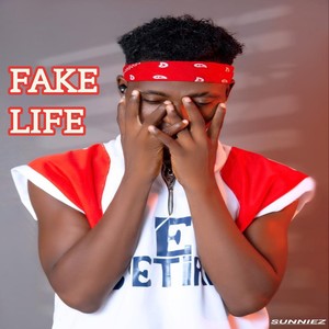 Fake Life