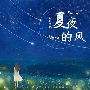 夏夜的风