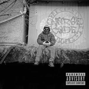 Cabin Fever(feat. Psilocypher) (Explicit)