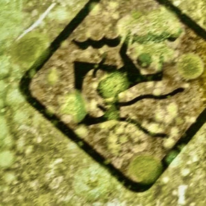 Baug (feat. NXISE, NDXL)