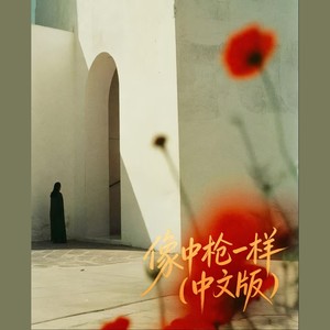 像中枪一样 (中文版)