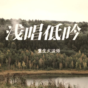 精卫填海 - 重生大法师封面