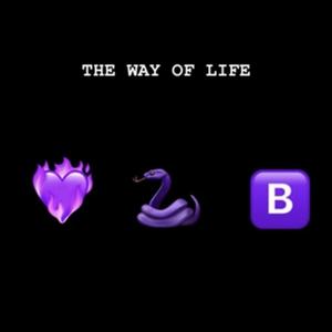 Do It Like You (feat. Twin Balla) (Explicit)