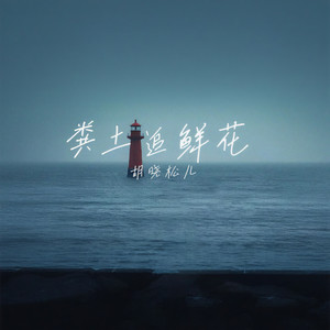 粪土追鲜花 (伴奏)