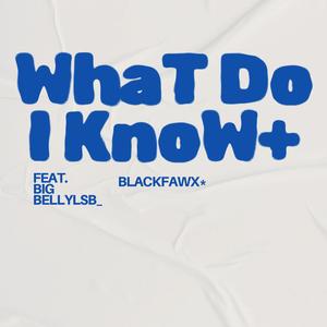 What Do I Know (feat. Bigbellylsb) (Explicit)