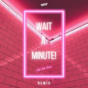 Wait A Minute (TikTok Edit) (Remix)