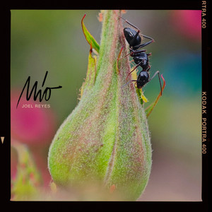 Mío