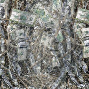 The Root Of Evol (Explicit)