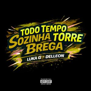 TODO TEMPO SOZINHA NESSA TORRE BREGA