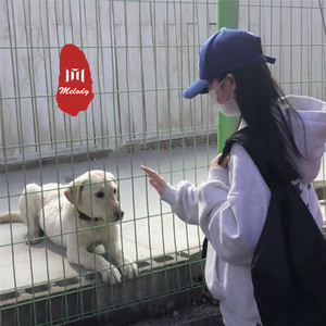 口哨战歌 (DJ版)