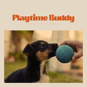 Playtime Buddy